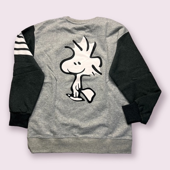 Snoopy & Woodstock Gray 4-bar Pullover Sweatshirt - Picture 2 of 7